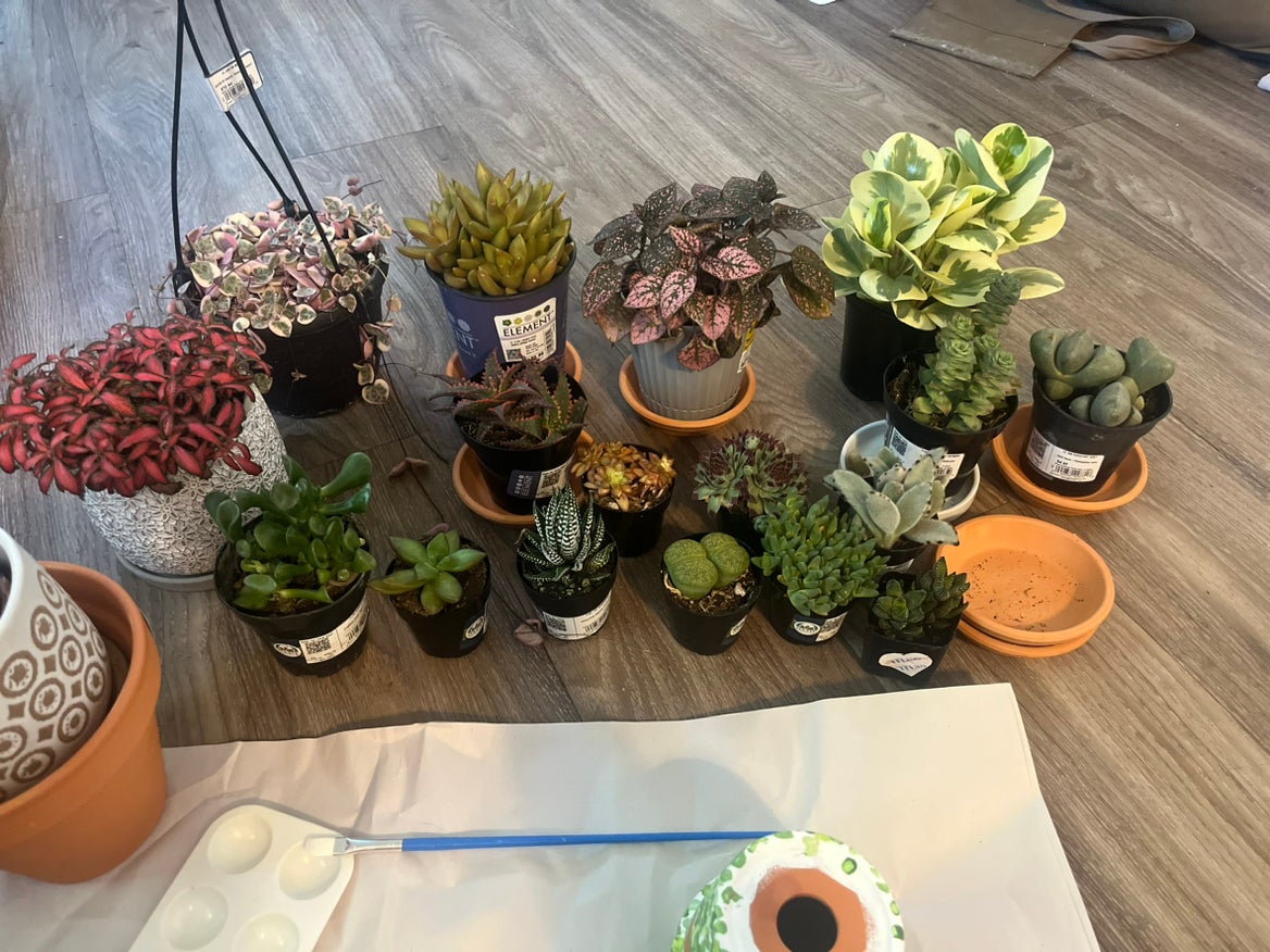 Avatar for @GlossyMostii19 on Greg, the plant care app