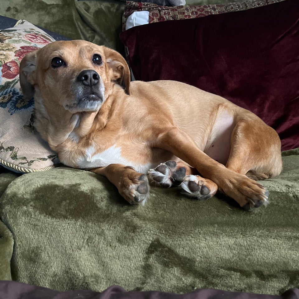 @halphmarathon avatar