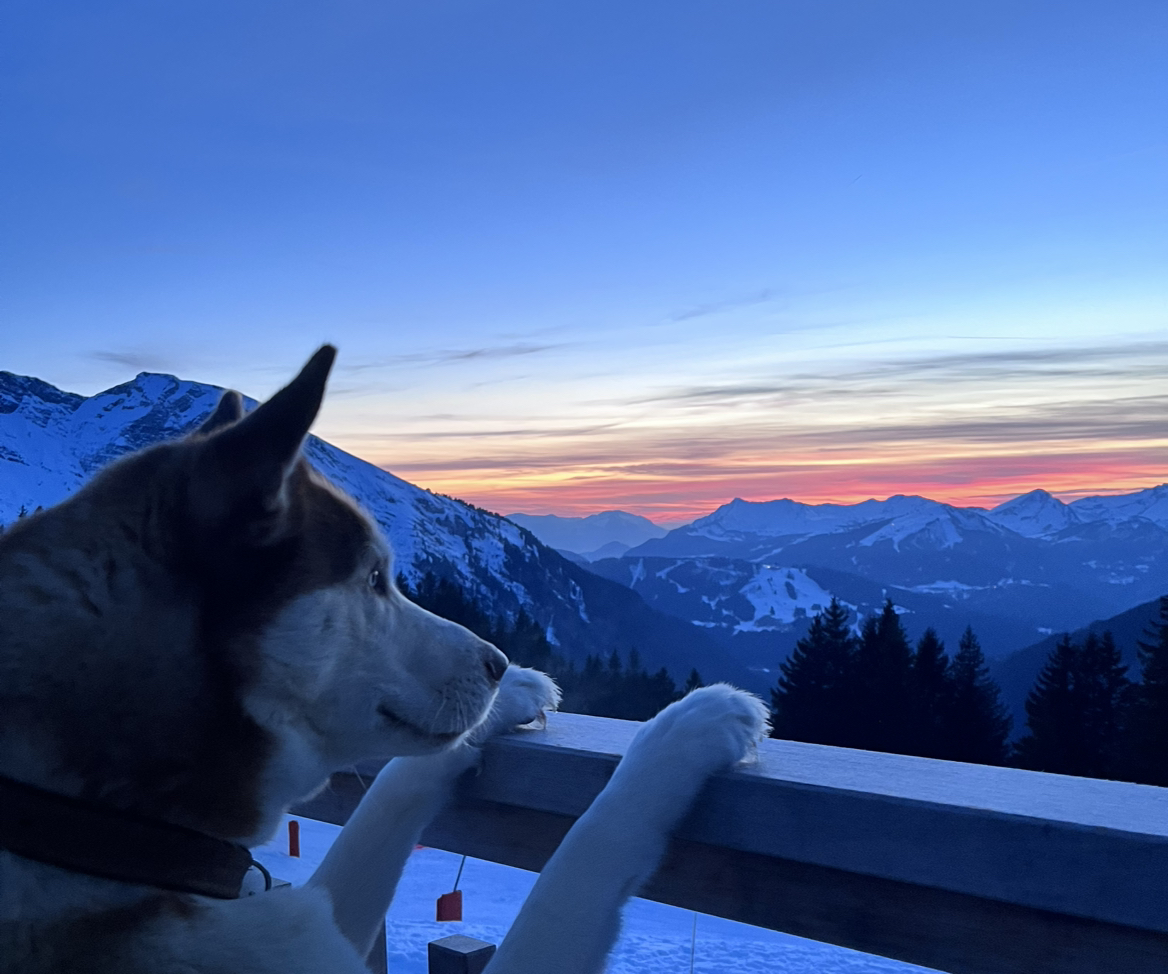 Avatar for @Highsye on Greg, the plant care app