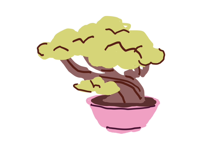 Avatar for @WhizSalsa35 on Greg, the plant care app