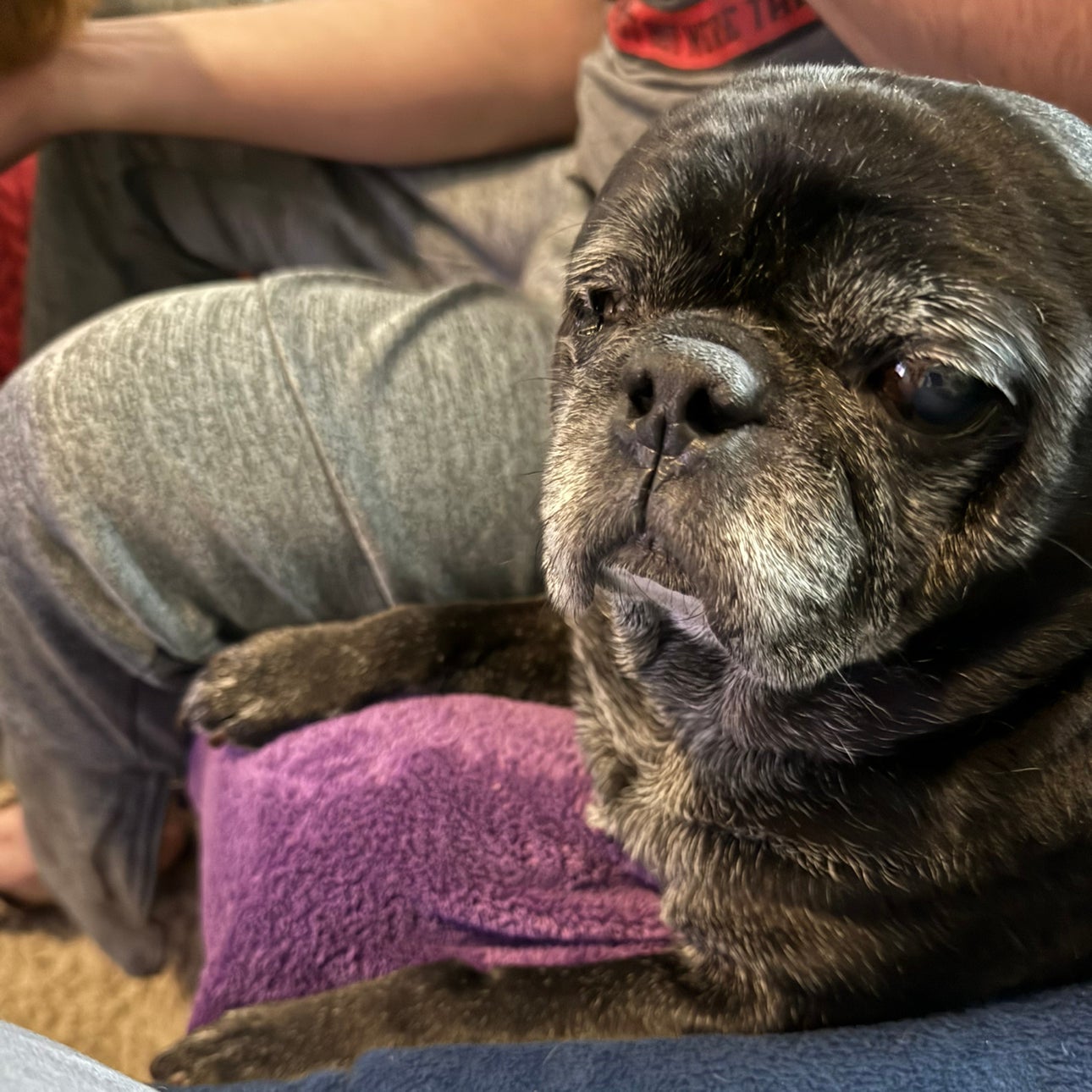 @SpicyEndive43 avatar