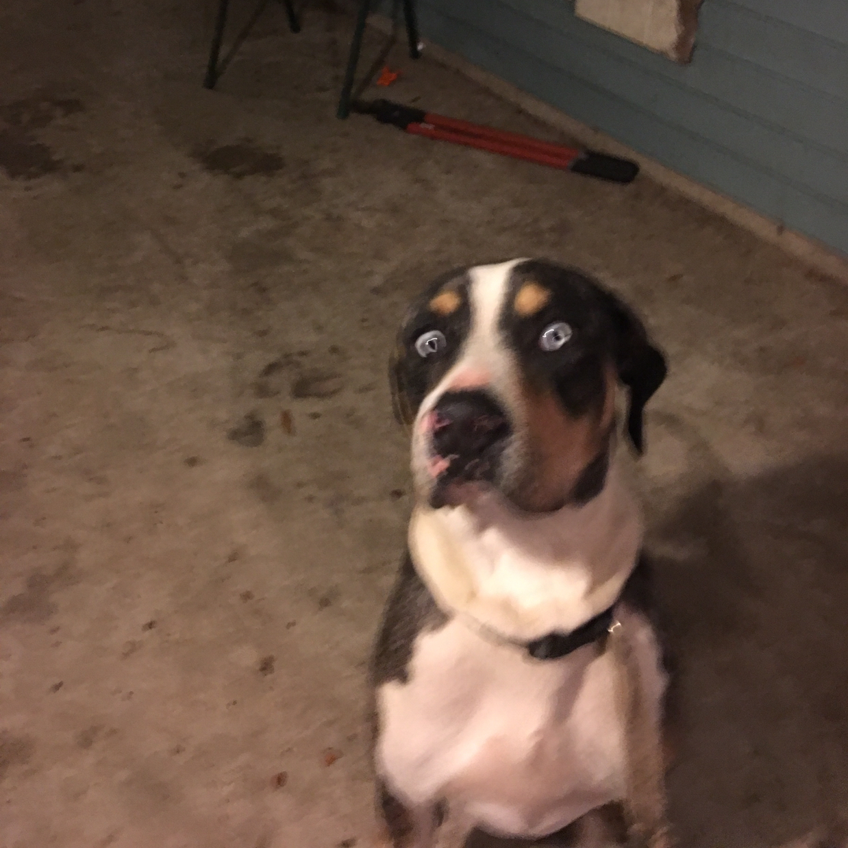 Avatar for @SacredCornplanter on Greg, the plant care app