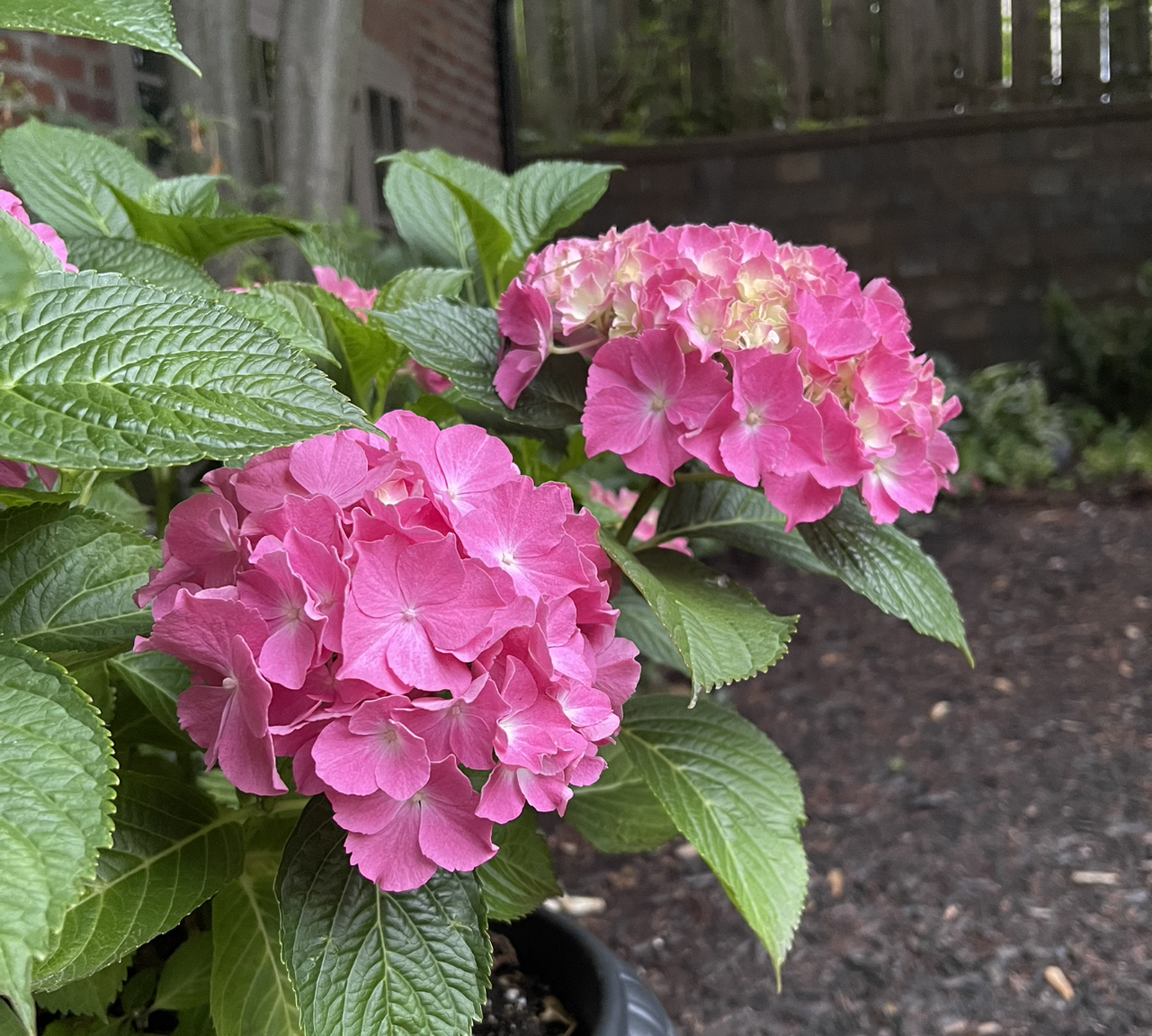 @PlanteDeLaRue avatar