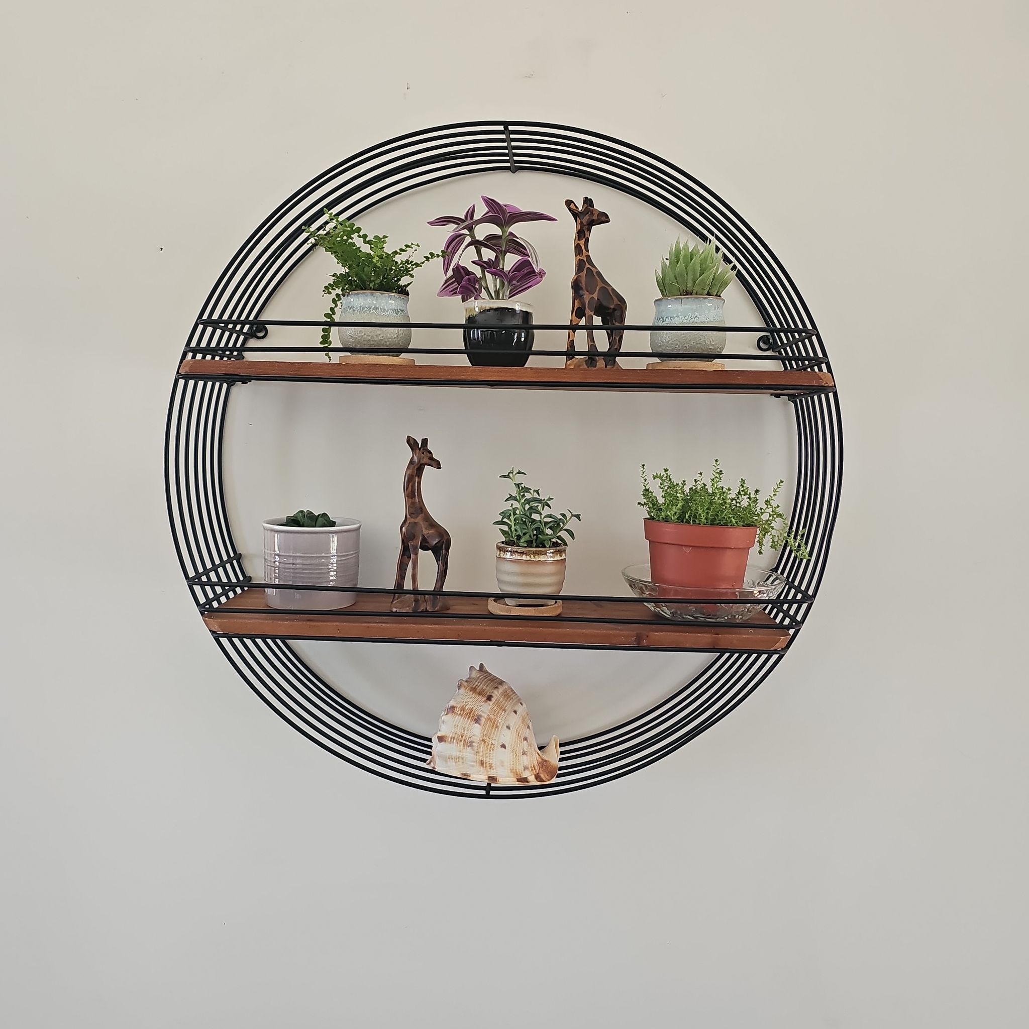 Avatar for @cabanagirl on Greg, the plant care app