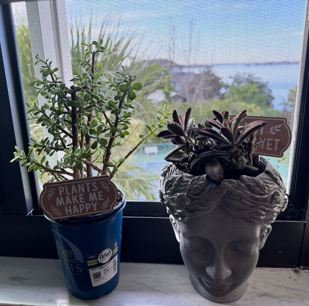 Avatar for @markfherwig on Greg, the plant care app