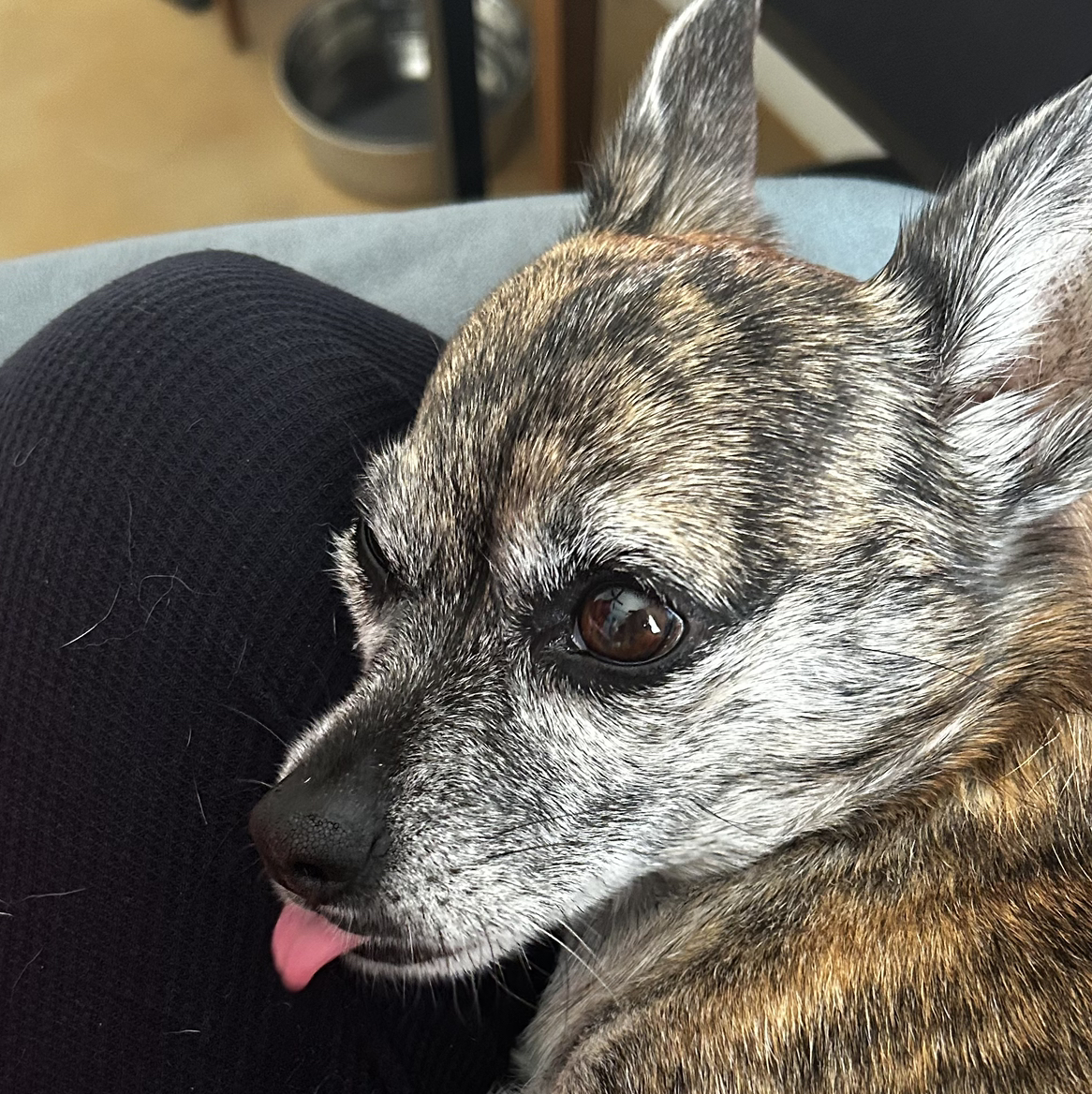 Avatar for @LacedKreap on Greg, the plant care app