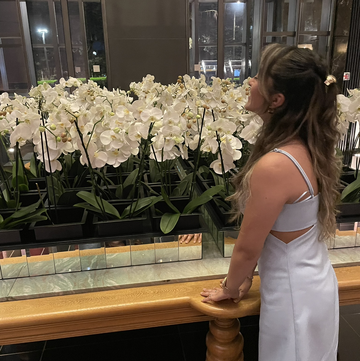 Avatar for @AnaSopía on Greg, the plant care app