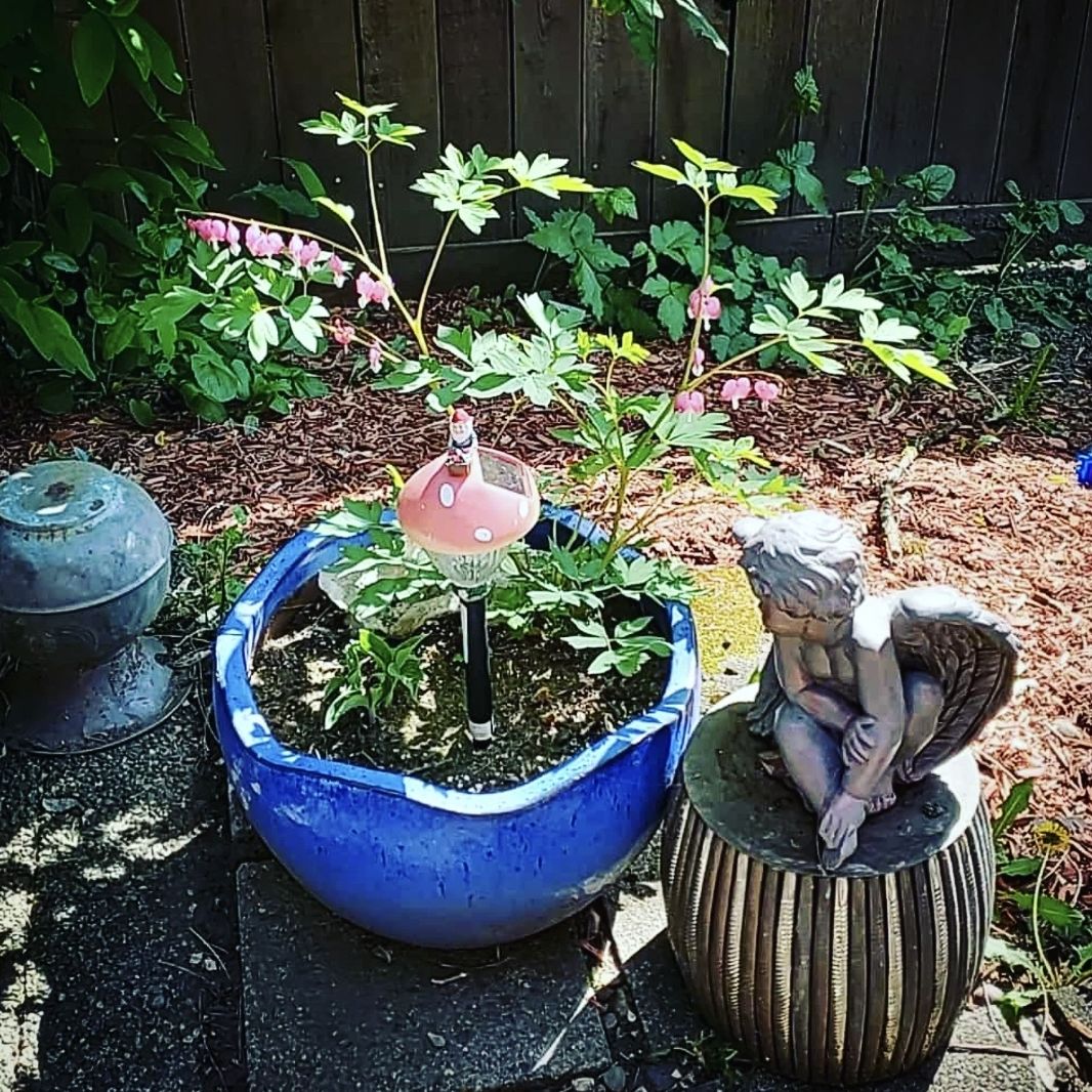 Avatar for @AuntieOma on Greg, the plant care app