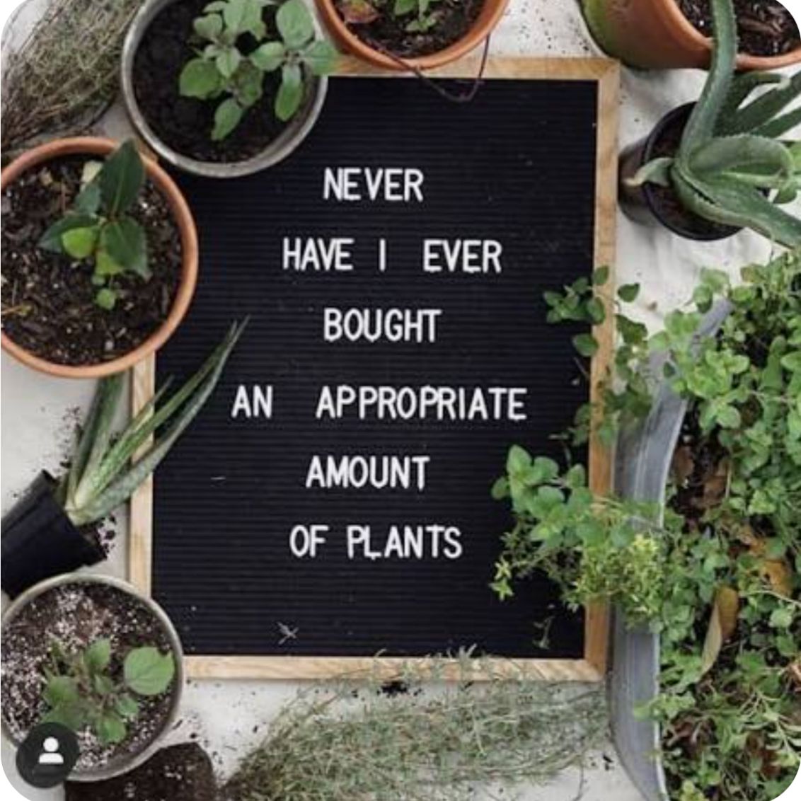 @luvmygreenhouse