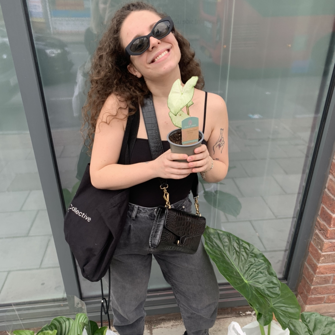 Avatar for @michimiao on Greg, the plant care app