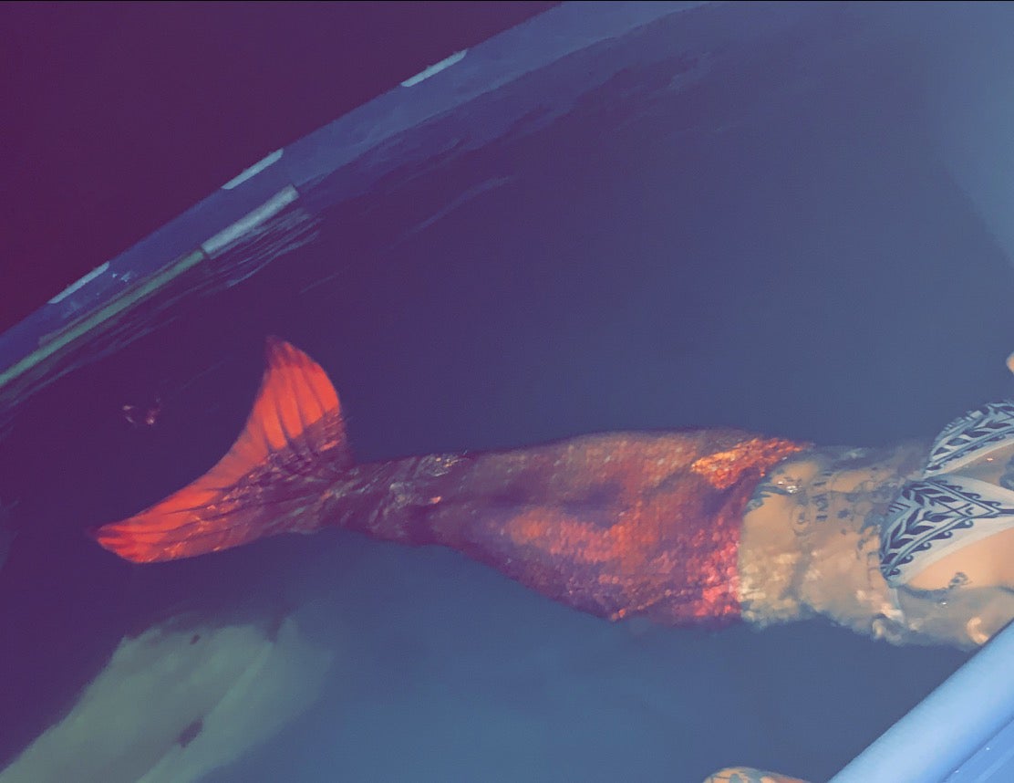 @ElDemonioGato avatar