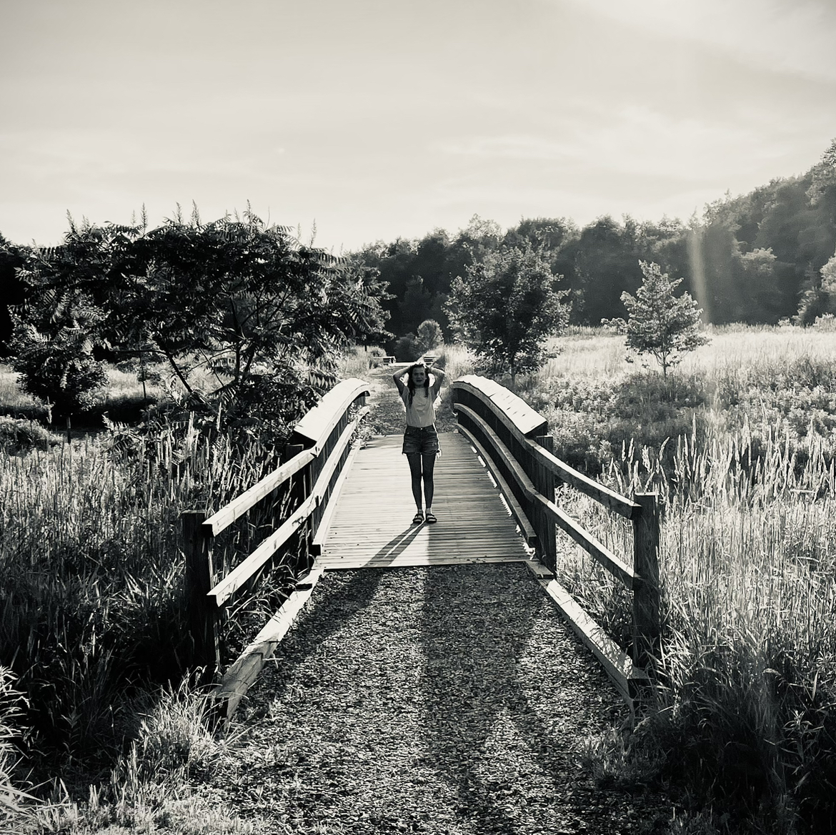 @Yellowconverse avatar