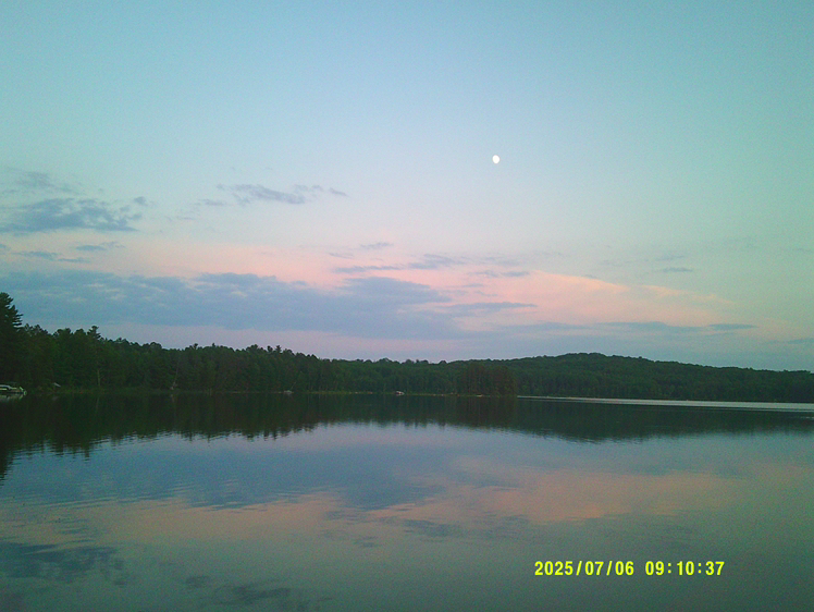 Avatar for @Sillybilly on Greg, the plant care app