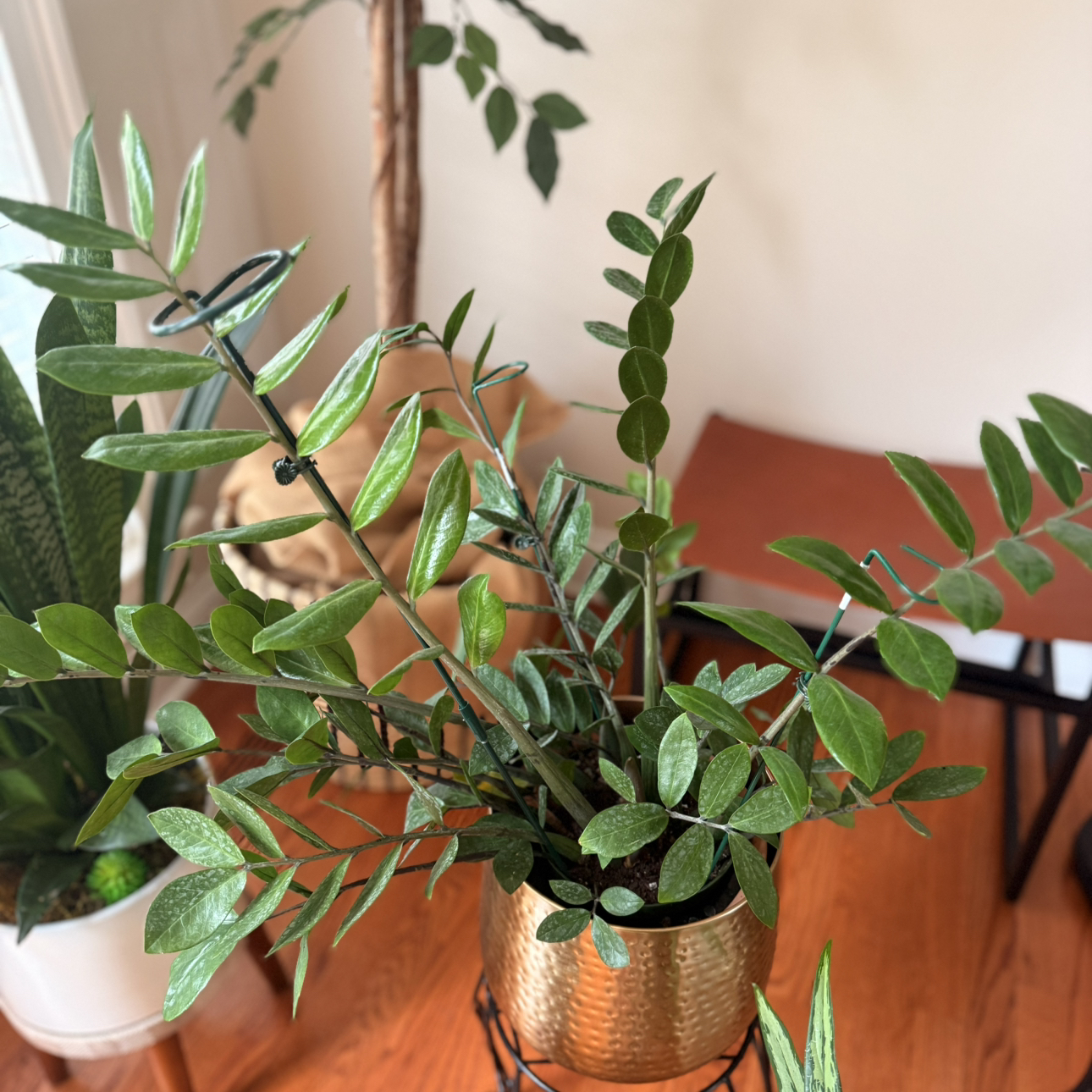 @CunningNeem82 avatar