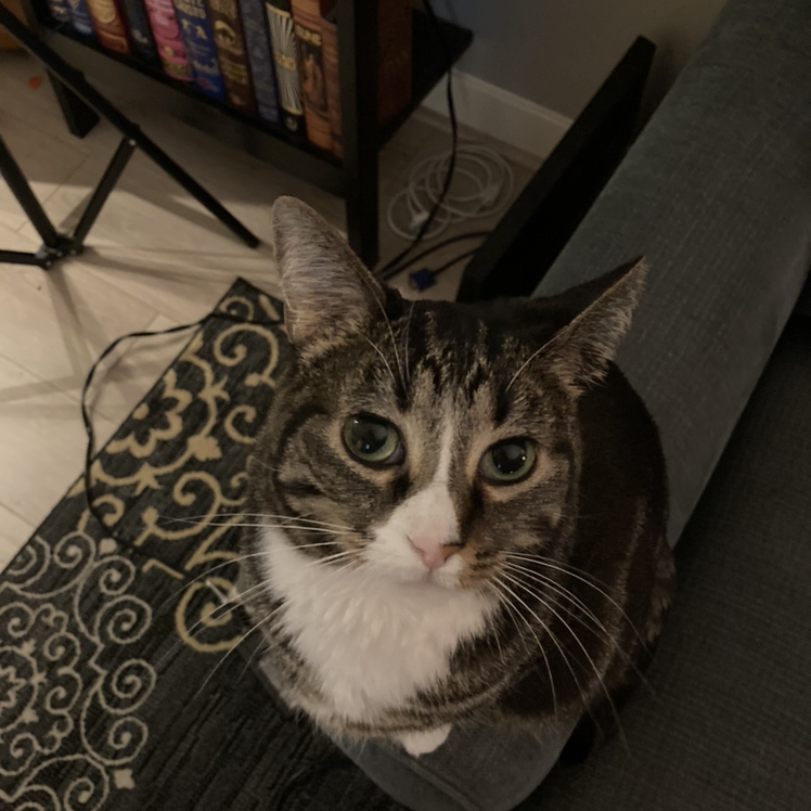 @thorny4plants avatar