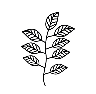 Avatar for @NotTodaySucca77 on Greg, the plant care app