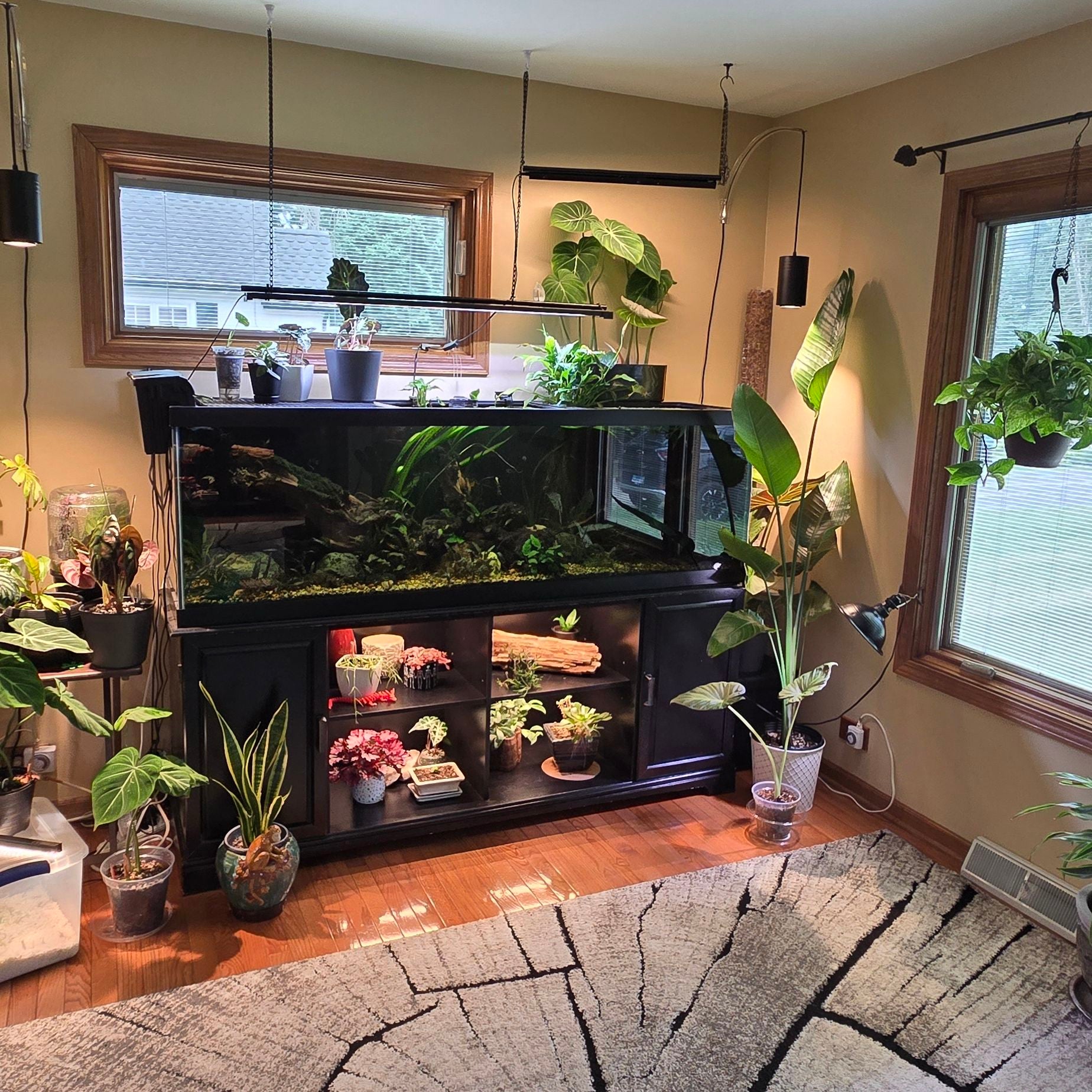 Avatar for @joesJungle on Greg, the plant care app