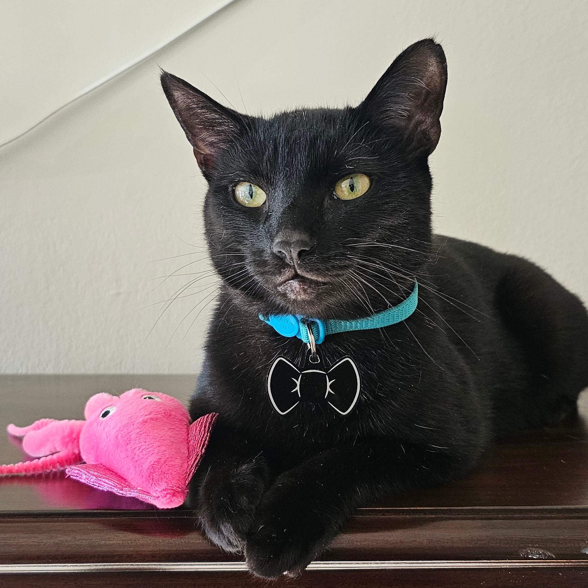 @SunflowerSunset avatar