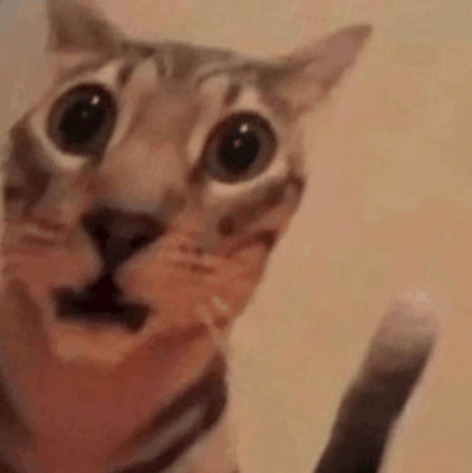 @rat