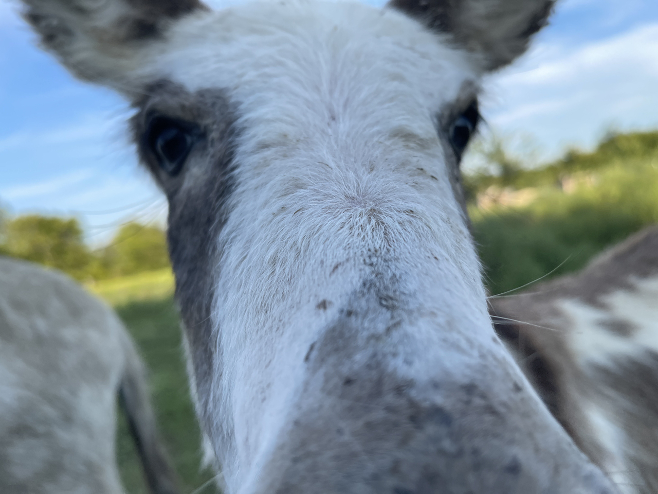 @DaintyBlue71 avatar