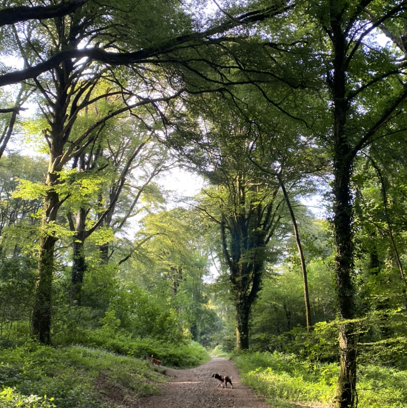 @semi_skimmed_milk avatar