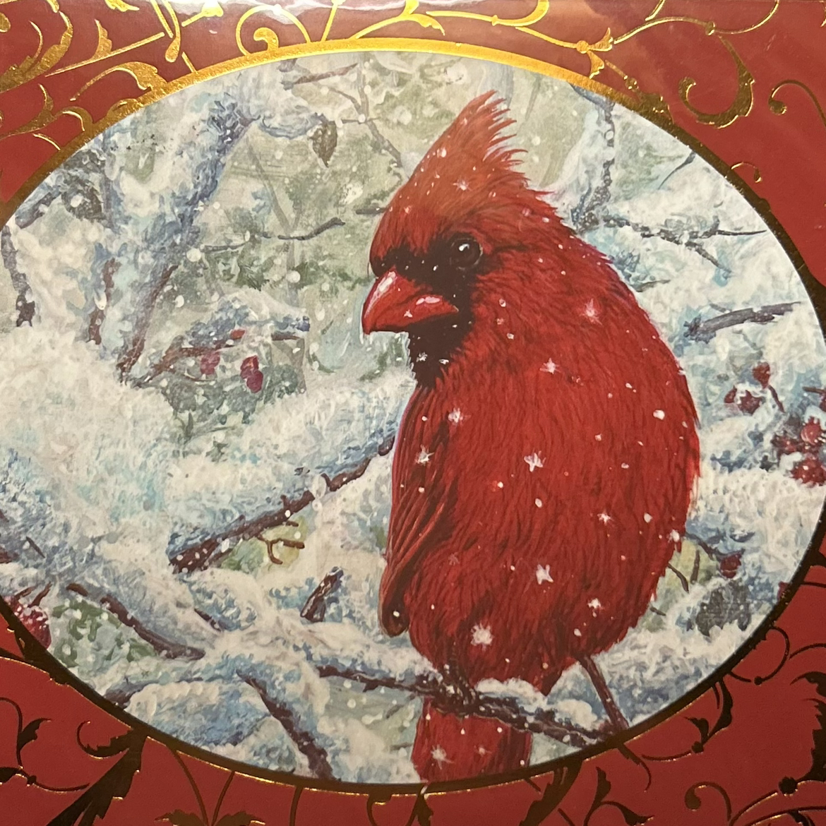 @FabBegonia39 avatar