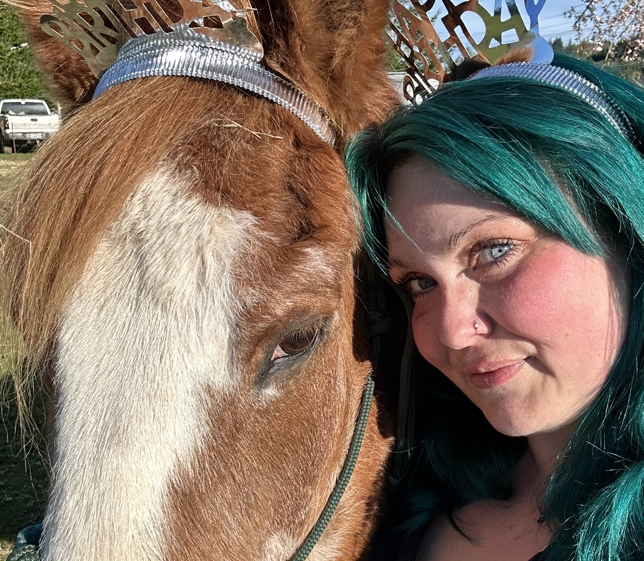 Avatar for @Katiej1313 on Greg, the plant care app