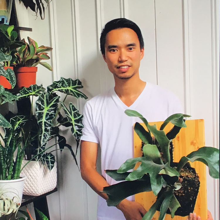 @houseplantjournal avatar