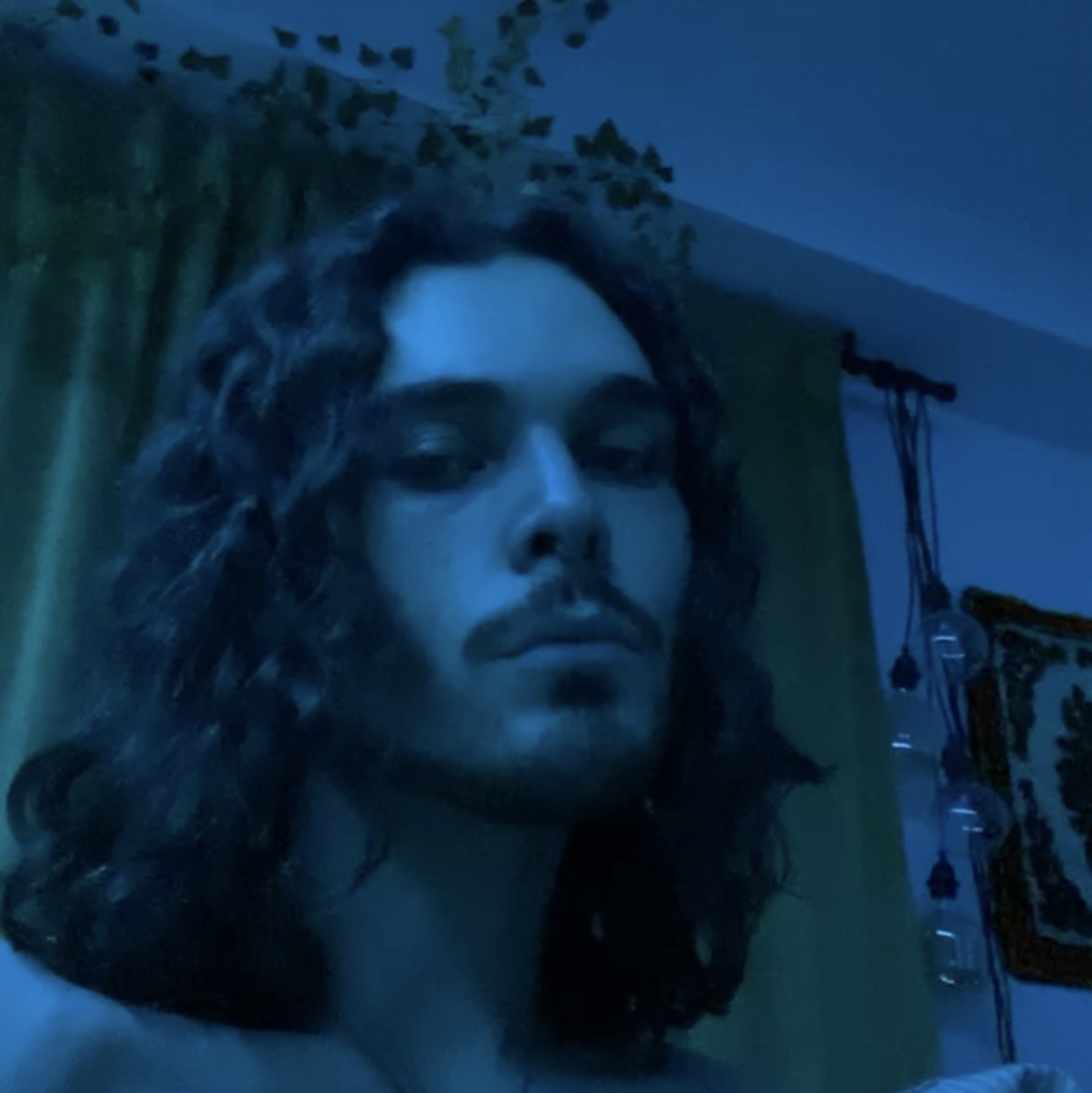 Avatar for @reubix_cube on Greg, the plant care app