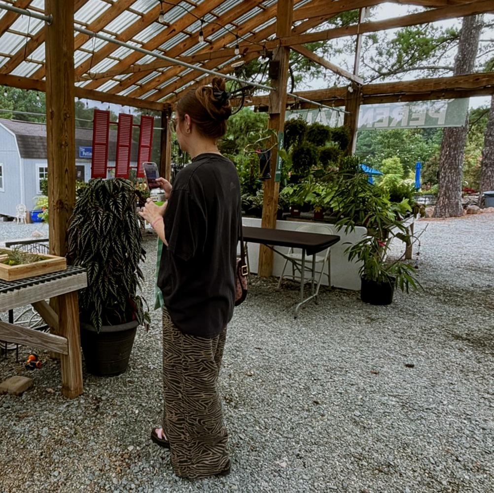 @brittanylane avatar