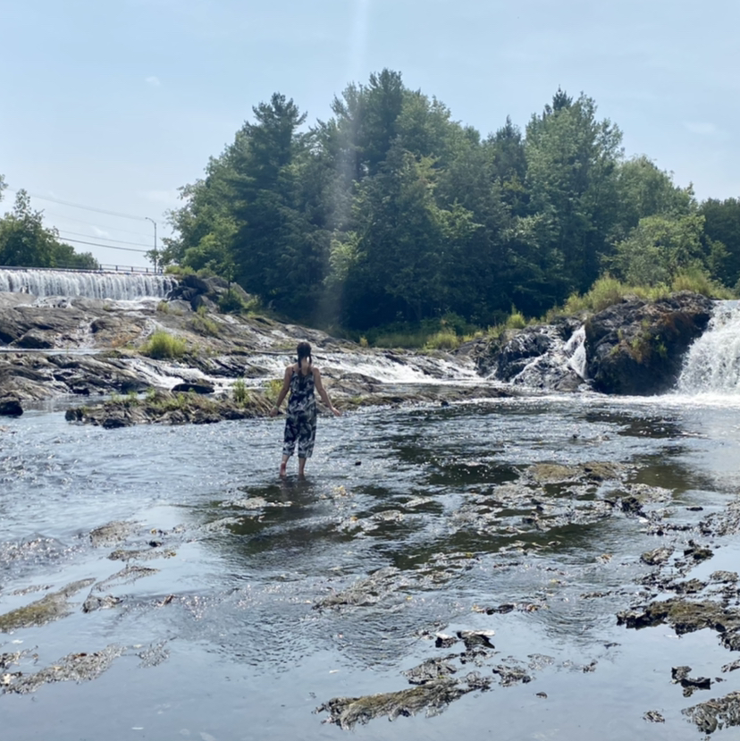 Avatar for @CaitysPlants on Greg, the plant care app