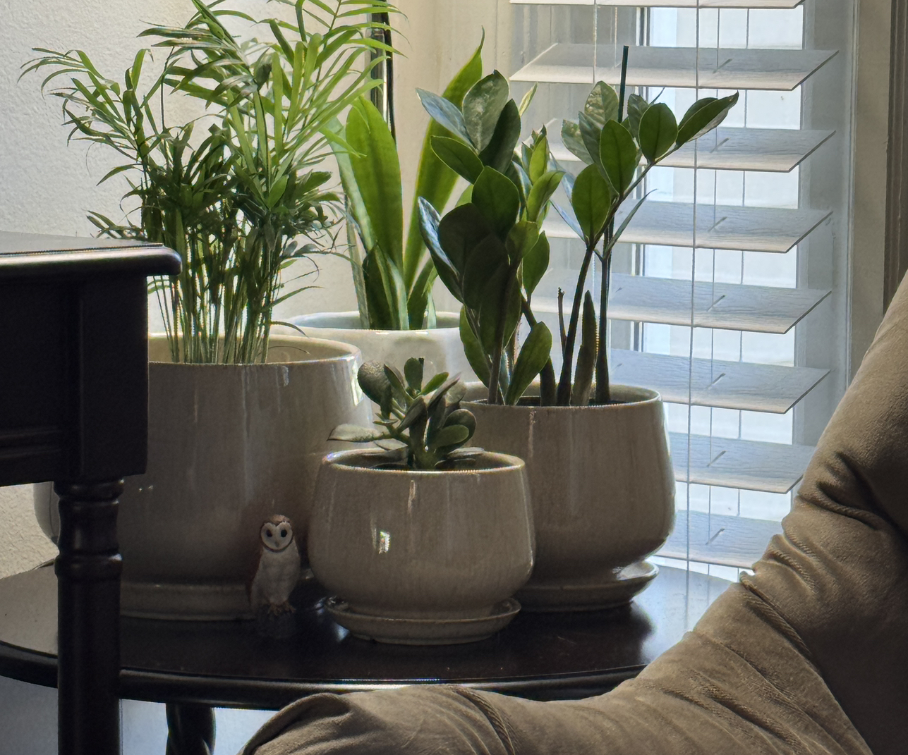 @SoulmateBibi55 avatar