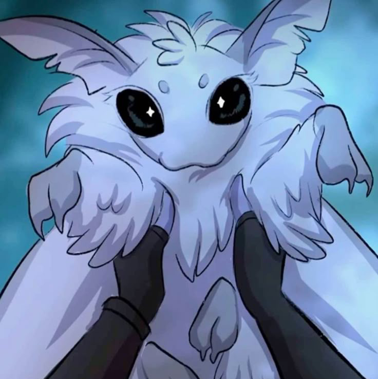 Avatar for @koisplants on Greg, the plant care app