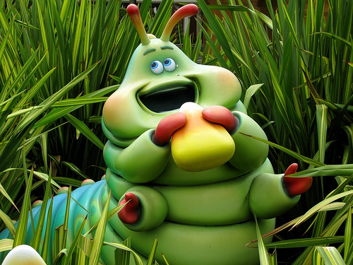 Avatar for @plant_mama_amateur on Greg, the plant care app