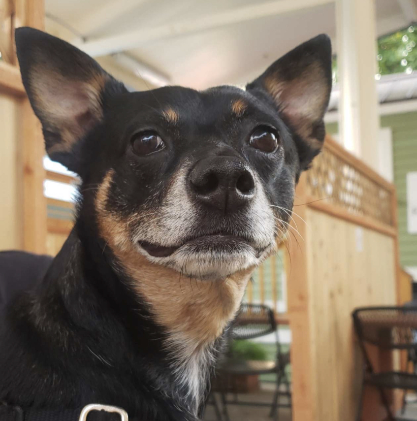 Avatar for @Ailiah on Greg, the plant care app