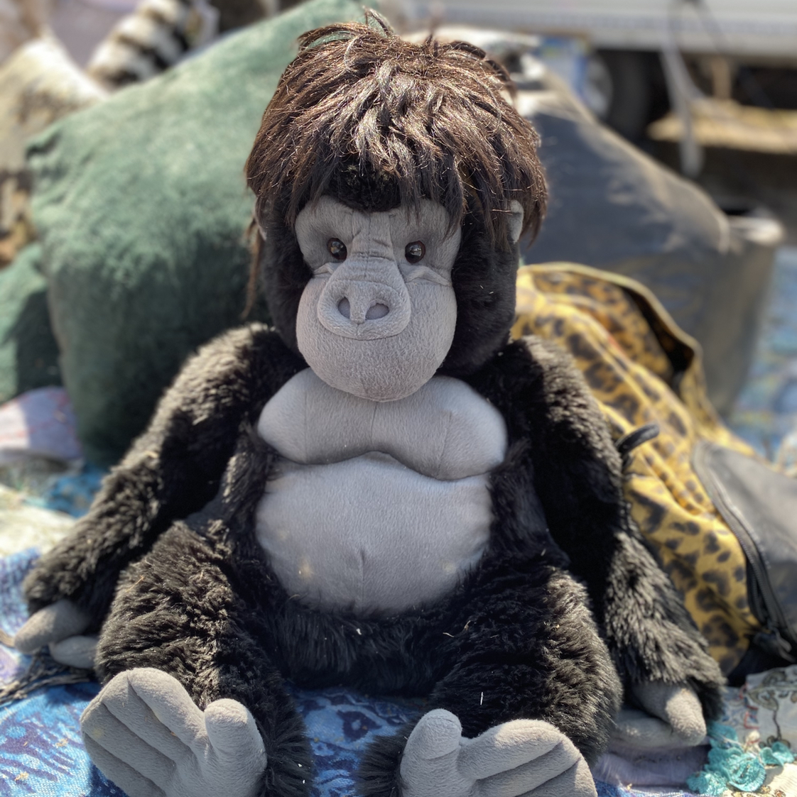 Avatar for @Barnzy on Greg, the plant care app