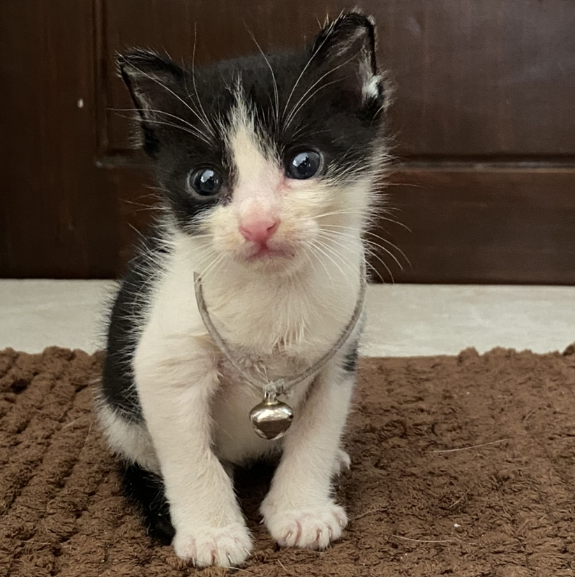 Avatar for @gerrhelretuba on Greg, the plant care app