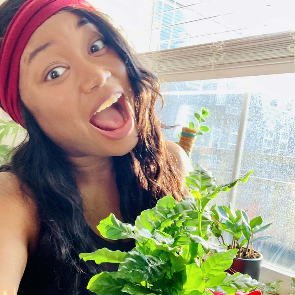 Avatar for @Niatan on Greg, the plant care app