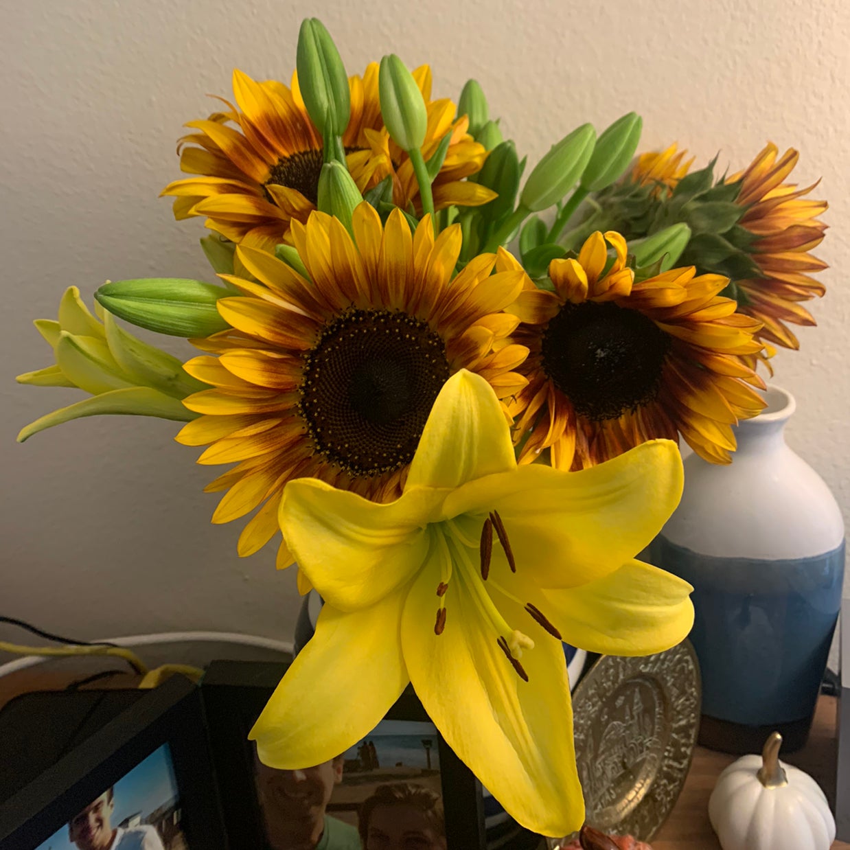 Avatar for @Ibby on Greg, the plant care app