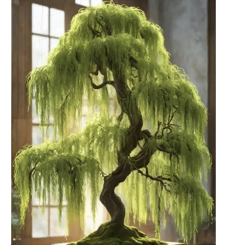 @Plantparent68