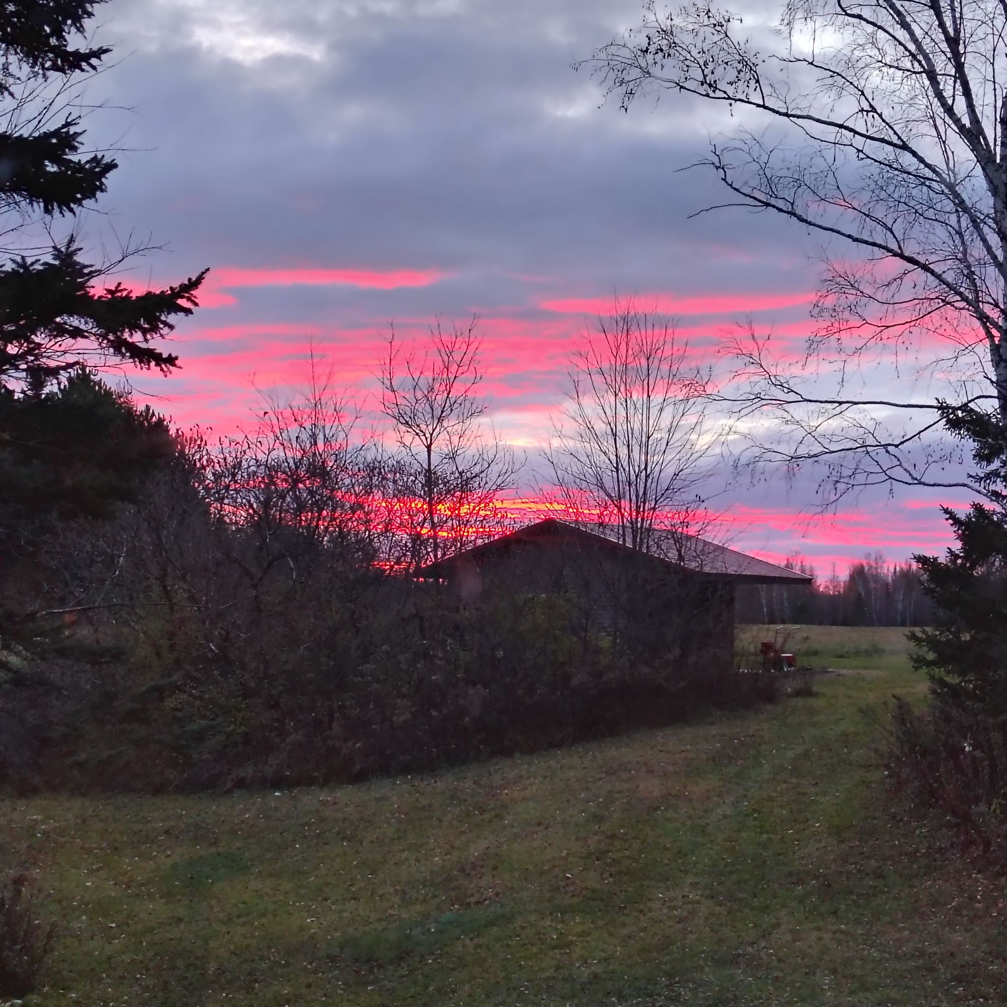 Avatar for @CozyWoodruff90 on Greg, the plant care app