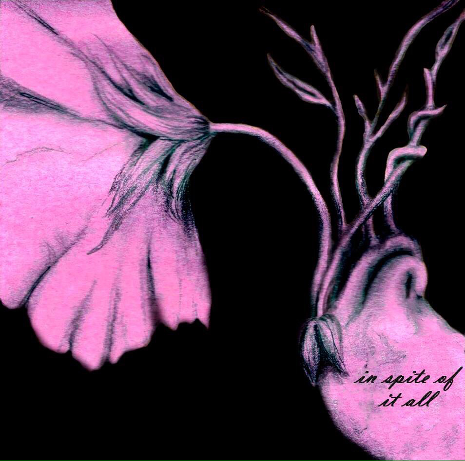 Avatar for @DebbiePauketat on Greg, the plant care app