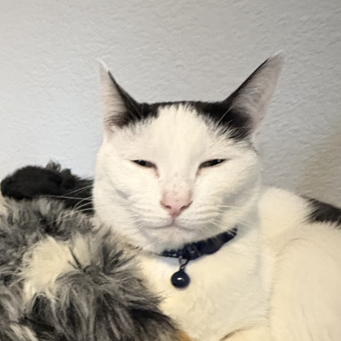 Avatar for @PaigeB12r732 on Greg, the plant care app