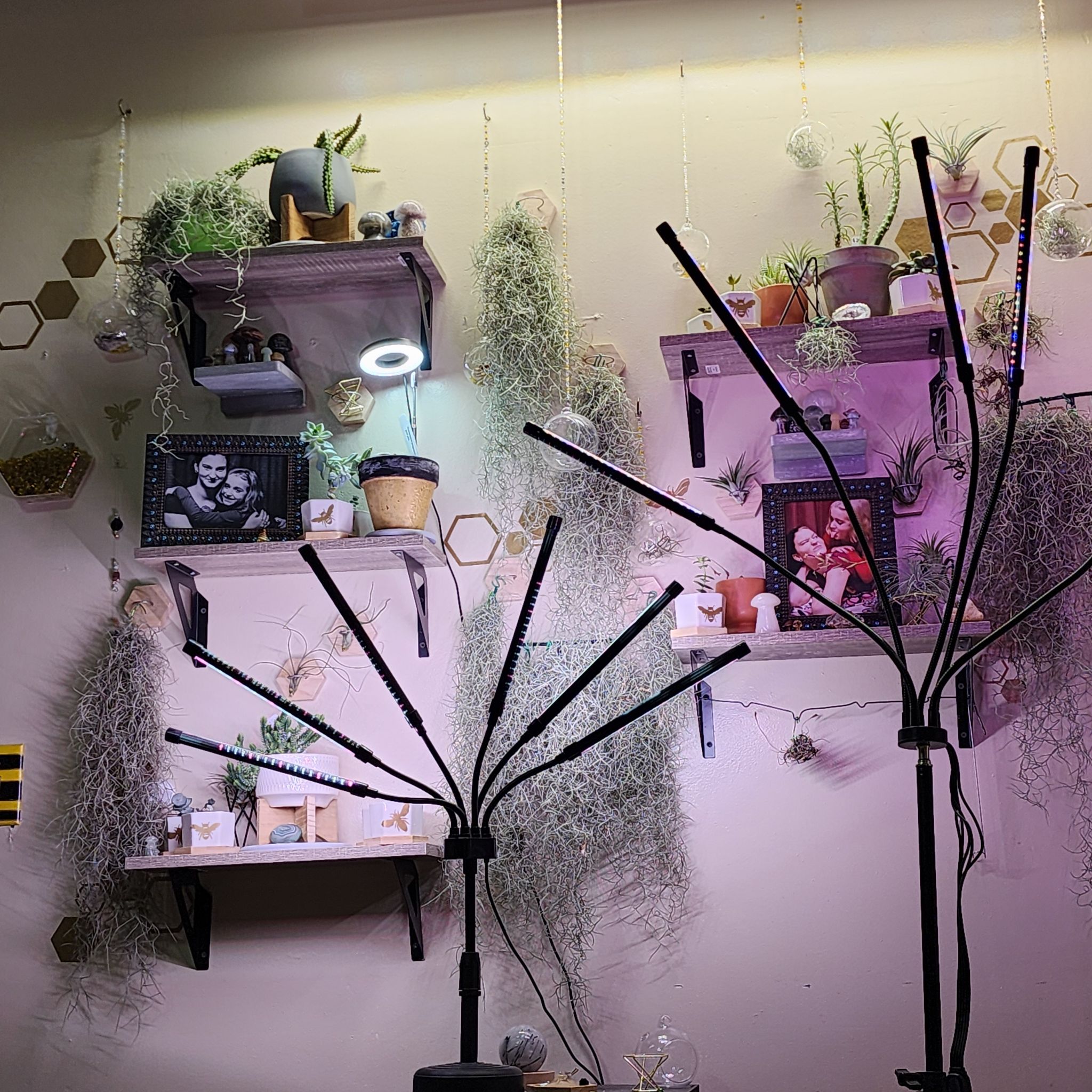 Avatar for @NovelRedsage1 on Greg, the plant care app