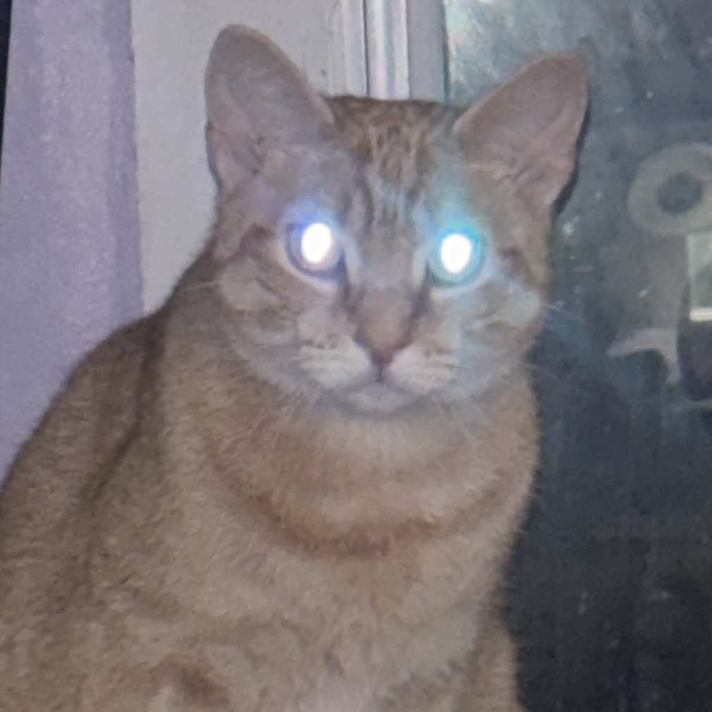 Avatar for @mxgic_mxn on Greg, the plant care app