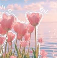 @Vegi_Muncher avatar