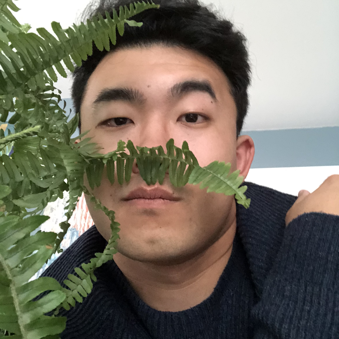 Avatar for @Alexsun on Greg, the plant care app