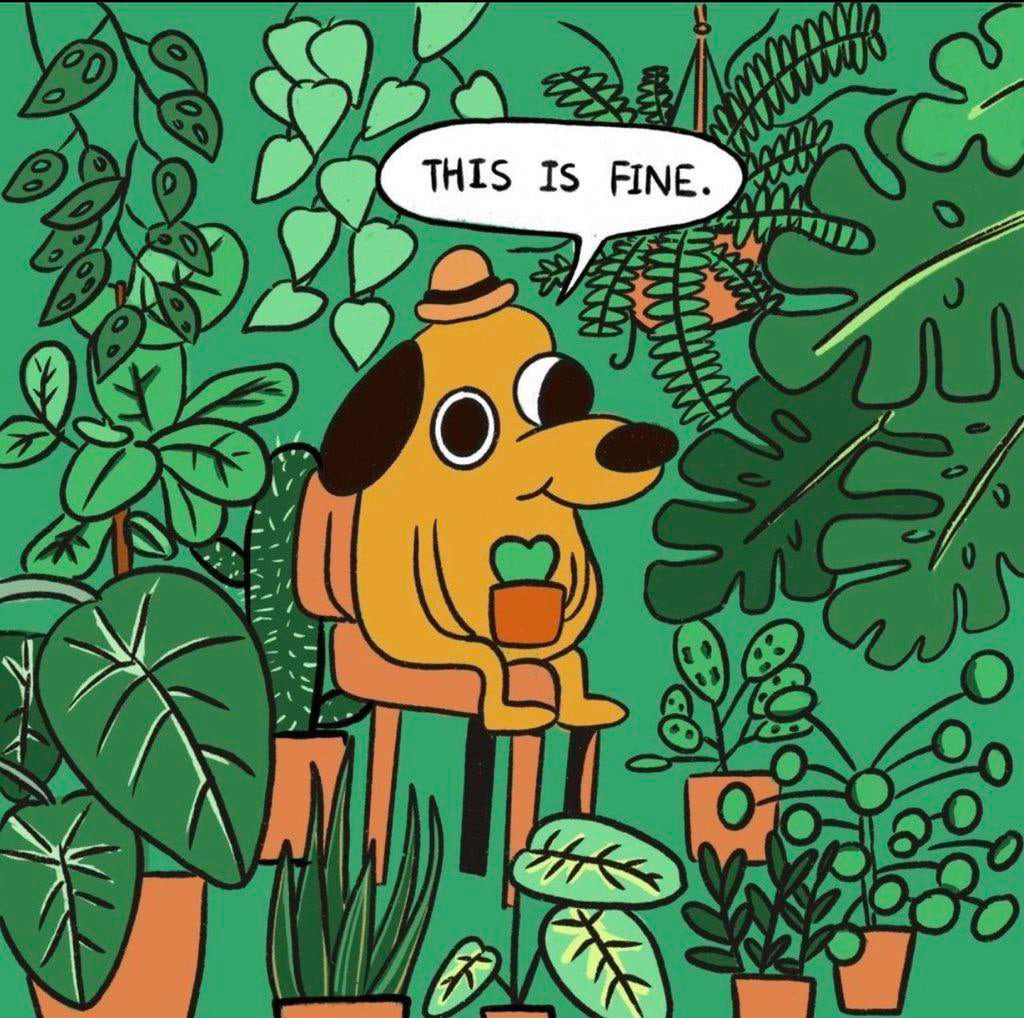 Avatar for @arobrobrob on Greg, the plant care app