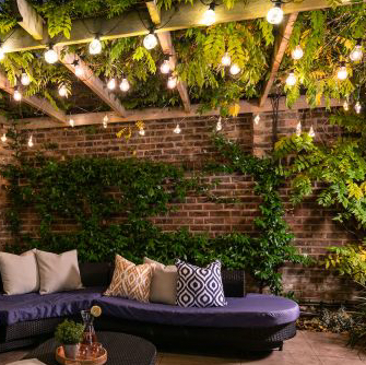 Avatar for Steph on Greg, the plant care app