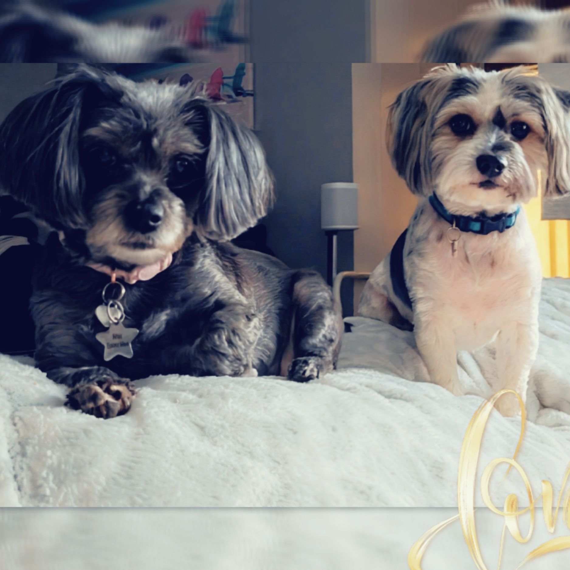 @GreenBaeInMN avatar